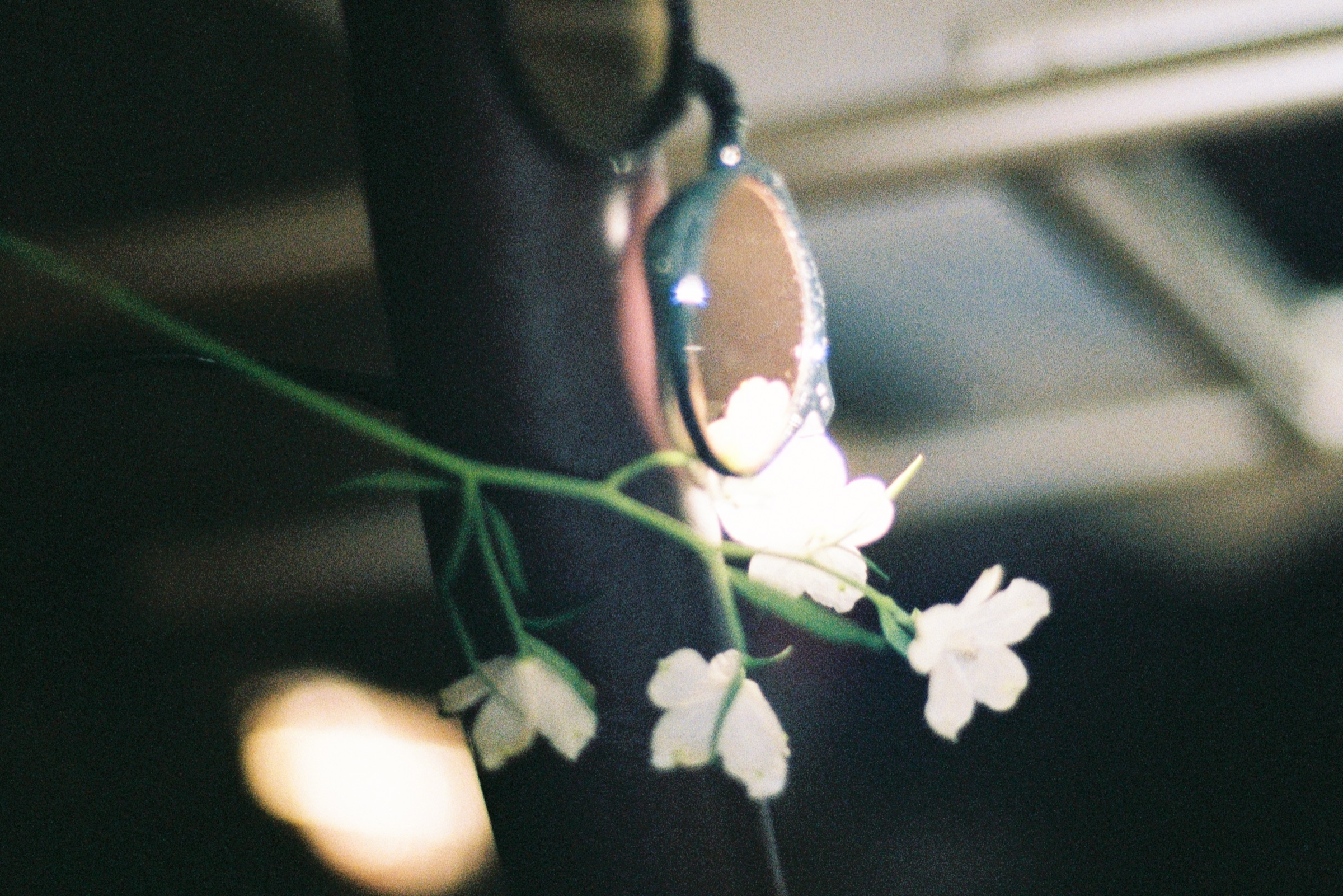Film-style macro shot of flowers with light leak
